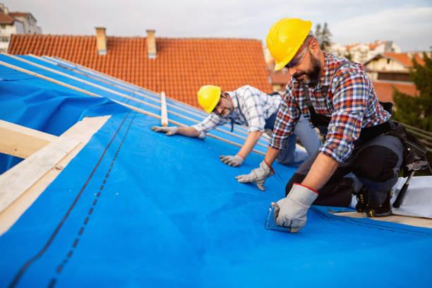 Best Residential Roofing Contractor  in Barnesville, MN