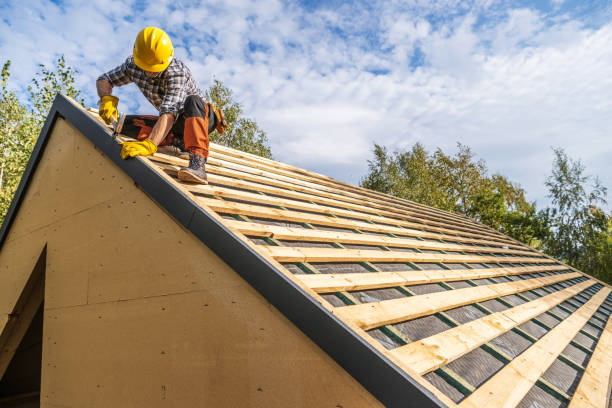 Best Shingle Roofing Installation  in Barnesville, MN