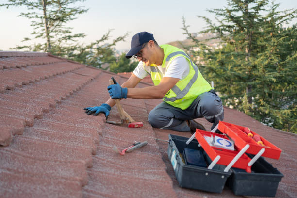 Best Tile Roofing Contractor  in Barnesville, MN